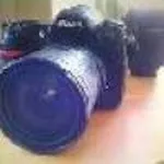 Nikon D3 12.1MP DSLR Camera