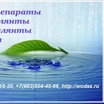 Биопрепараты BioRemove (БиоРемув) Novozymes  Biologicals (Новозаймс)  