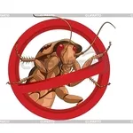 уничтожение клопов тараканов двойной удар гарантия