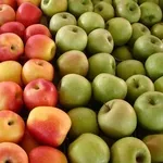 Оптовые поставки яблок из фермерских  хозяйств  Краснодара