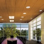 Деревянные потолочные панели для подвесного потолка