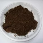 Элкосорб улучшение обеззараживание очистка почвы