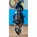 Приглашаем на службу в конную полицию: Полицейский кавалерист