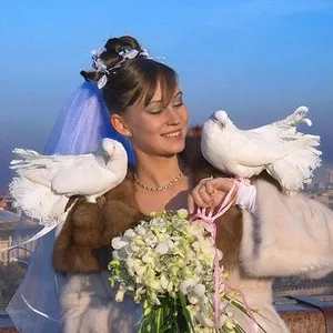 Голуби на свадьбу в Москве