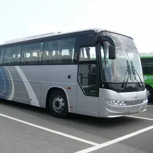 Автобусы  Киа ,   Дэу ,   Хундай,  Hyunda,  Kia,  Daewoo