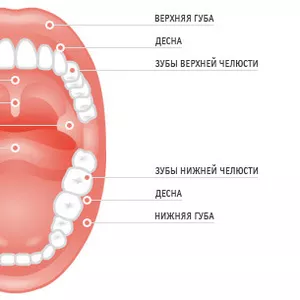 Съёмный протез зубов