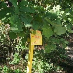  Лесной участок 7 сот., все коммуникации,  вблизи г. Домодедово 