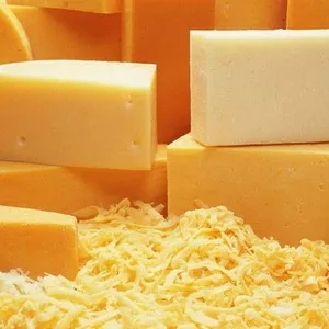 Сыр твердый оптом