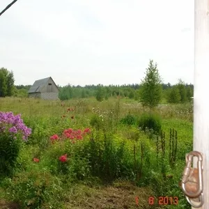 Сдам или продам 20ГА земли сельхозназначения (КФХ) в 250 км от Москвы
