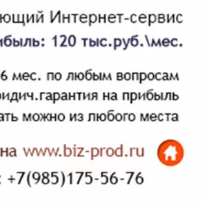Продаётся действующий Интернет-сервис с прибылью 120 тыс.руб.	