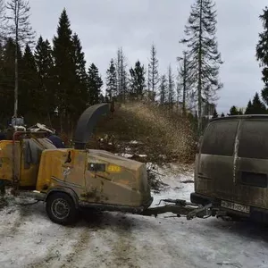 УДАЛЕНИЕ ДЕРЕВЬЕВ ПОД КЛЮЧ 