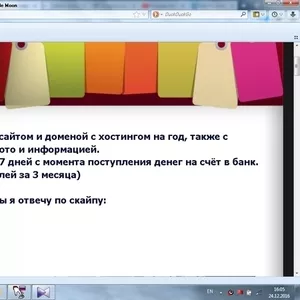 Купить пользование готовым сайтом и доменой с хостингом 