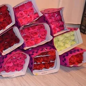 розы и тюльпаны оптом,  доставка 1 день