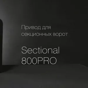 Пpивод для cекциoнных ворот DoorHan SEСTIОNAL-800РRO