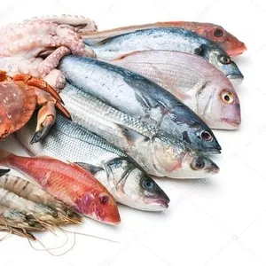 Оптовая продажа рыбы и морепродуктов