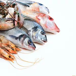 Рыба,  ракообразные,  моллюски оптом от ООО «Решение»