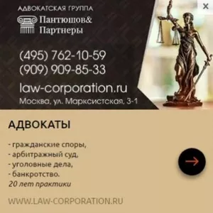 Пантюшов и Партнеры Адвокаты,  Юридические услуги
