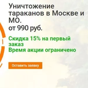 Надо навсегда уничтожить насекомых или грызунов?