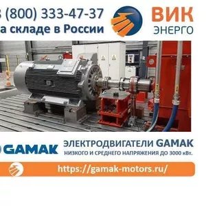 Электродвигатели Gamak низкого и среднего напряжения до 3000 кВт