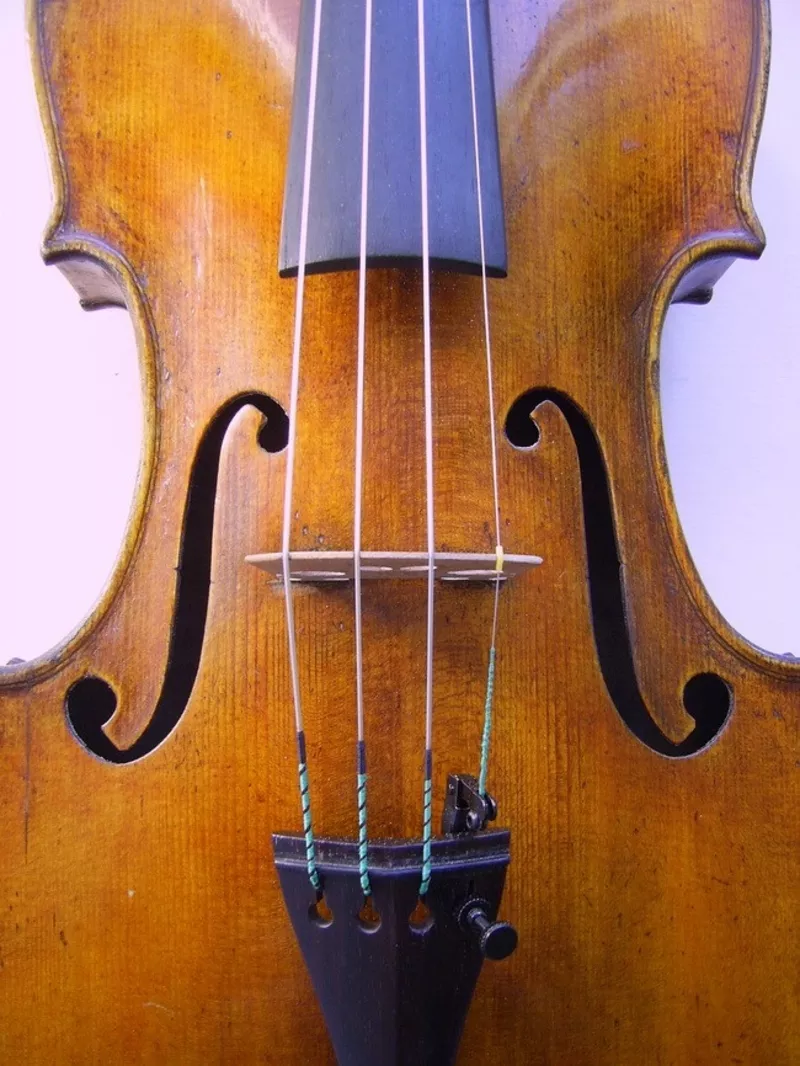 Продаю оригинальную итальянскую скрипку Ciarma Nazzareno 1909г.  3