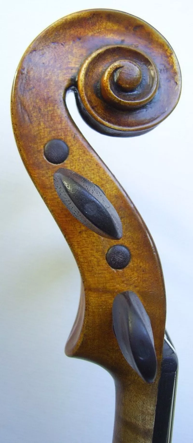 Продаю оригинальную итальянскую скрипку Ciarma Nazzareno 1909г.  4
