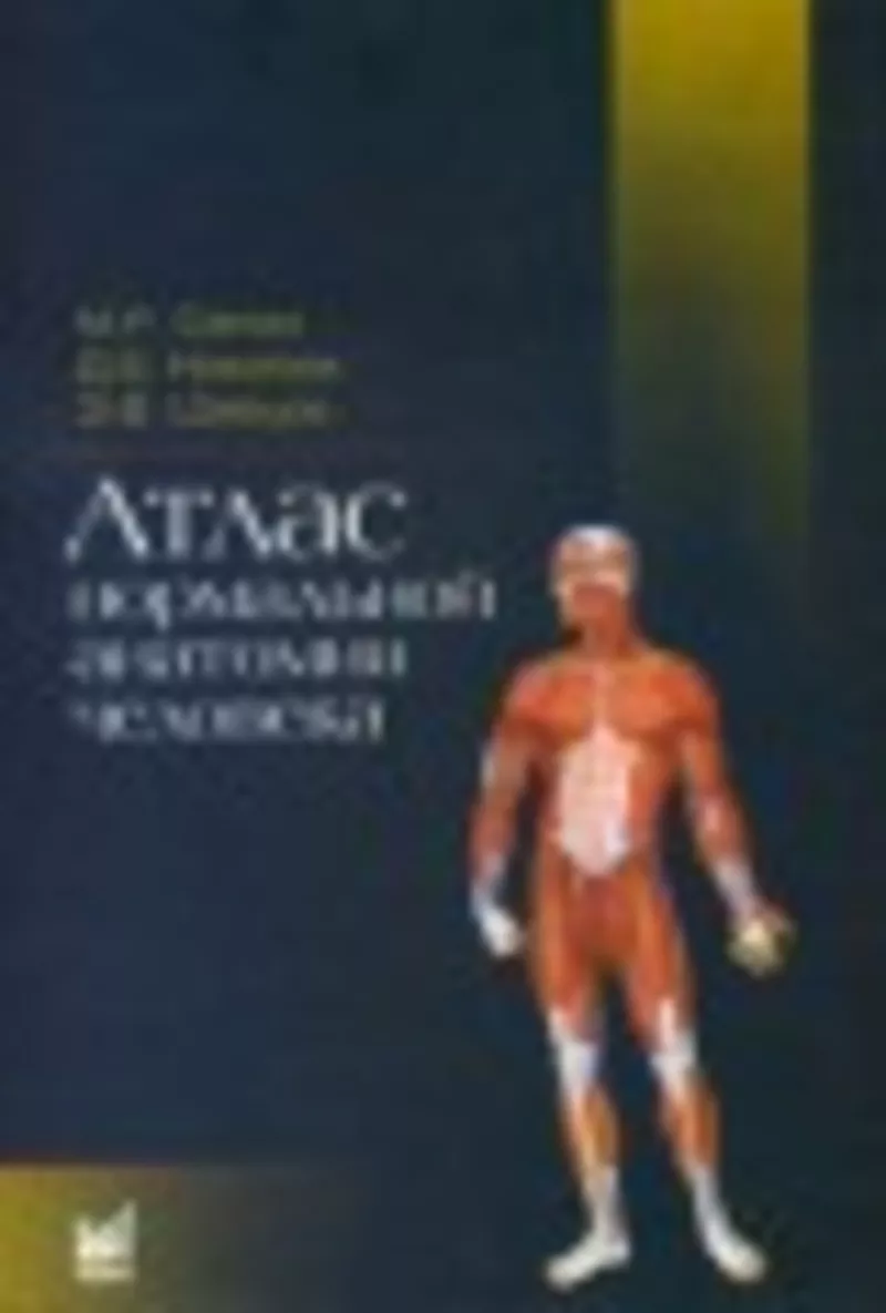 Атлас нормальной анатомии человека 2