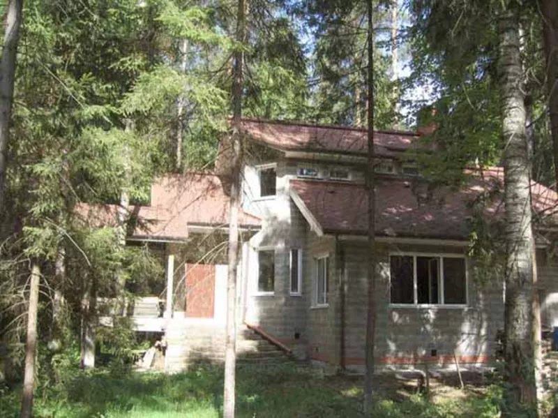 Продается дом в подмосковном лесу 2
