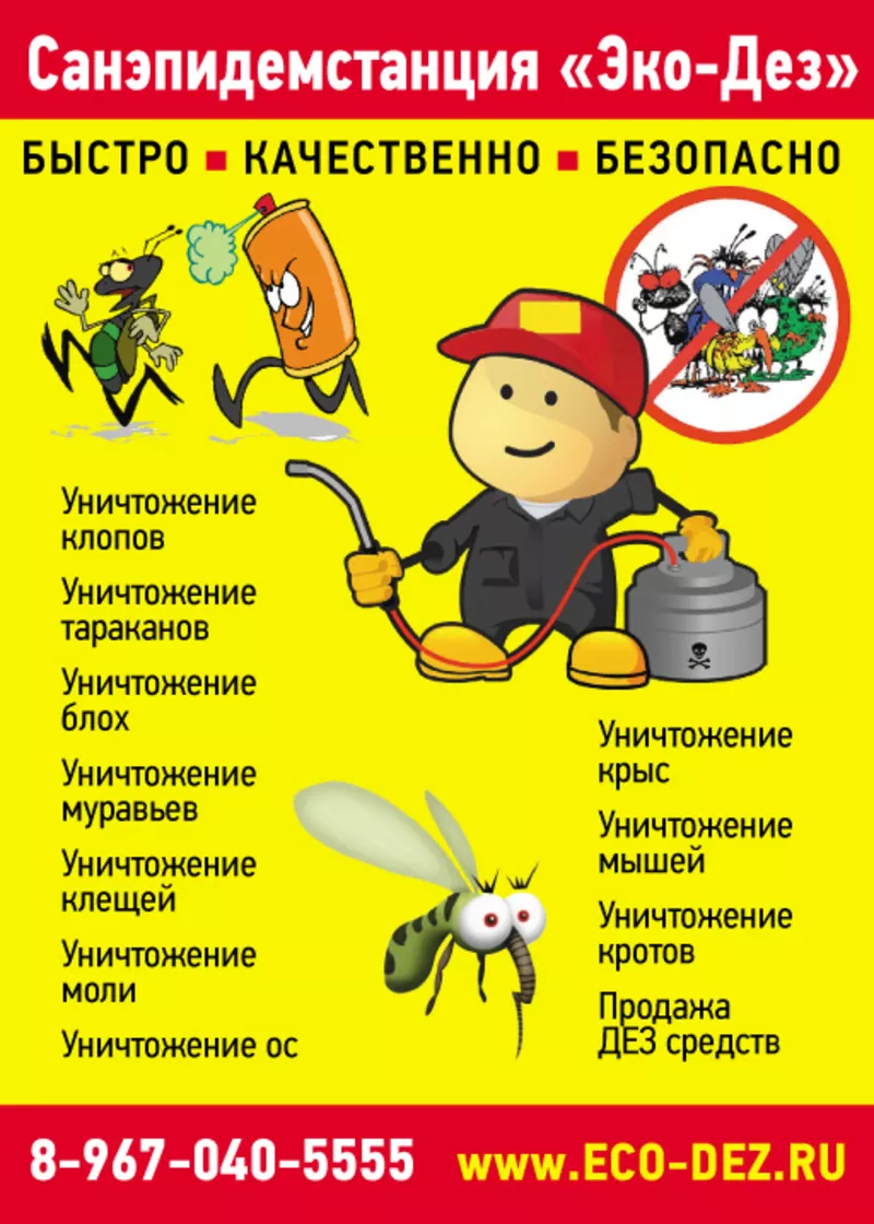 Уничтожение клопов,  тараканов,  бытовых насекомых - Москва
