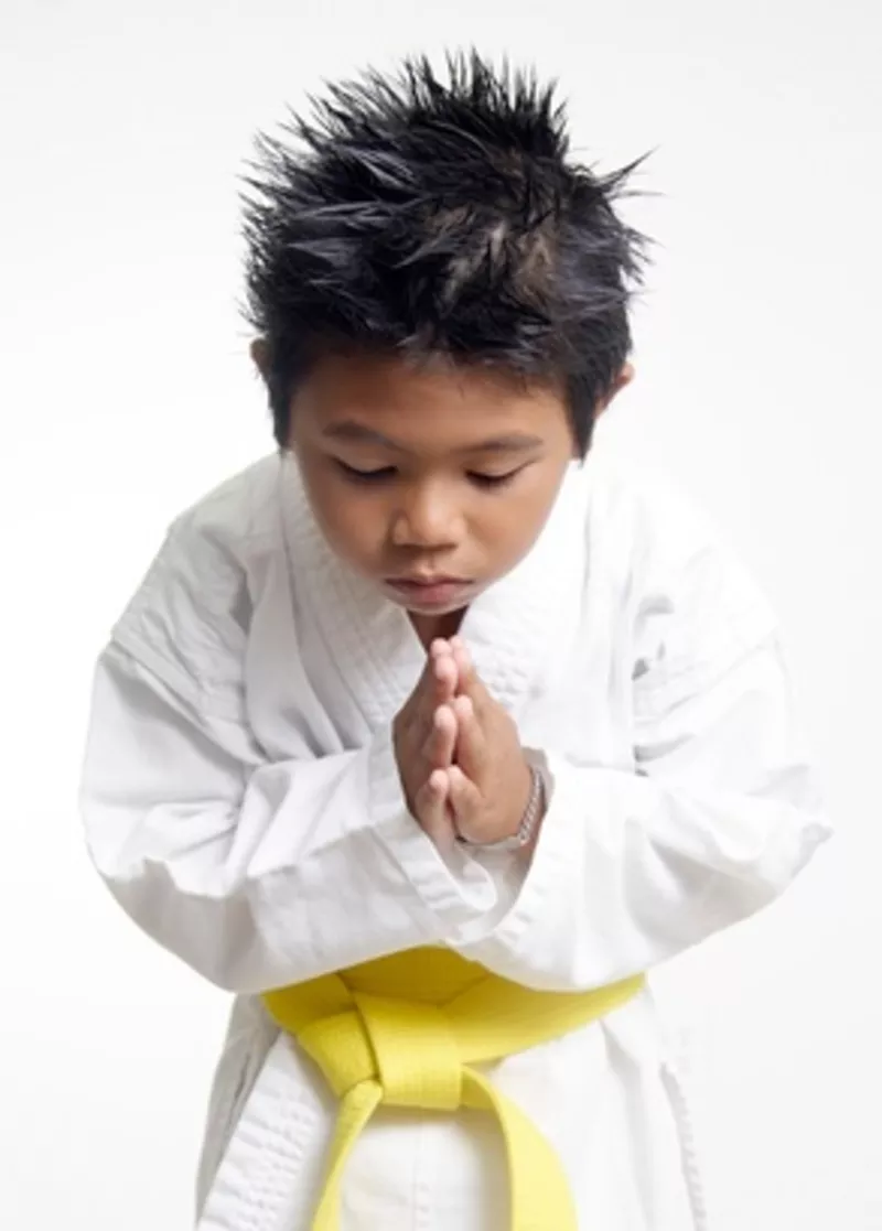 Каратэ kyokushinkai для детей от 4-х лет у вас дома