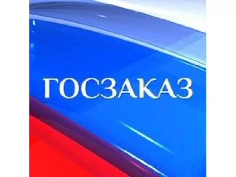 Помощь и обучение в тендерах и госзакупках РФ и СНГ.