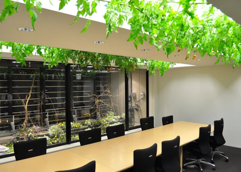 Зеленые зоны для офисов: проект и реализация 4