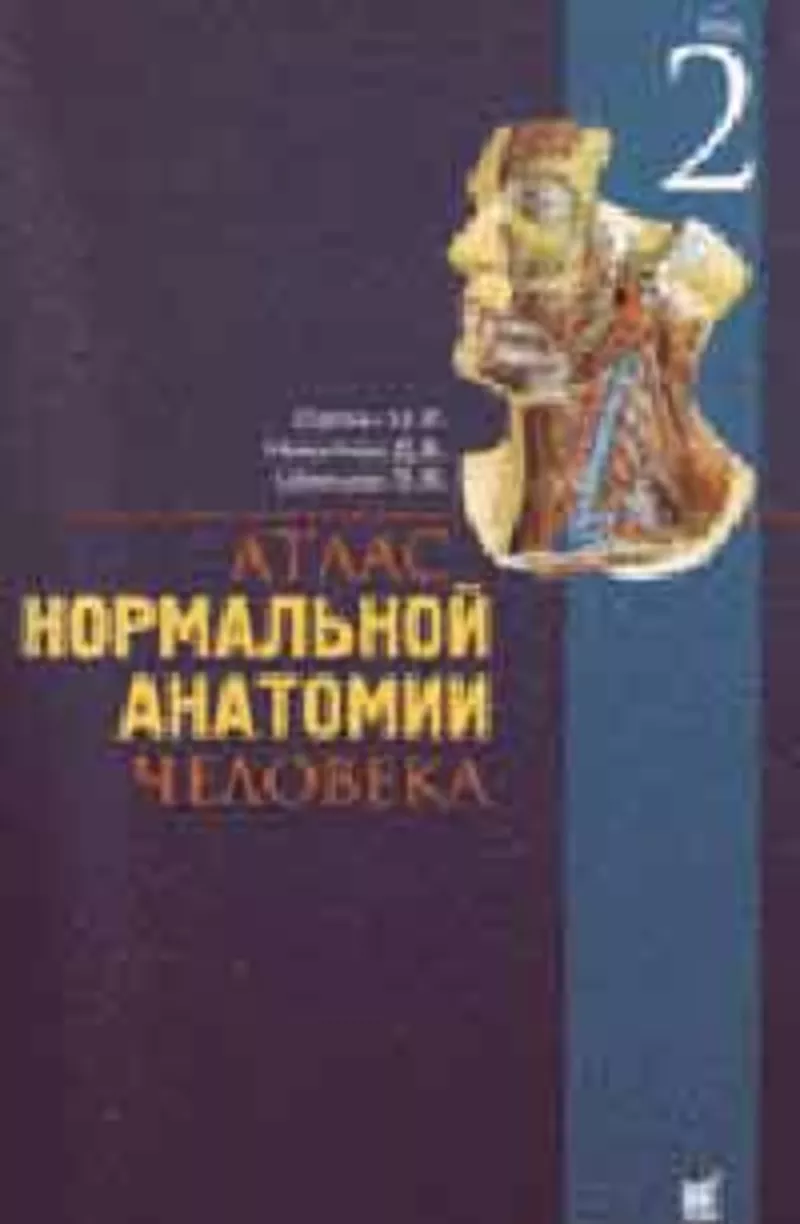 Атлас нормальной анатомии человека Сапин в 2 томах