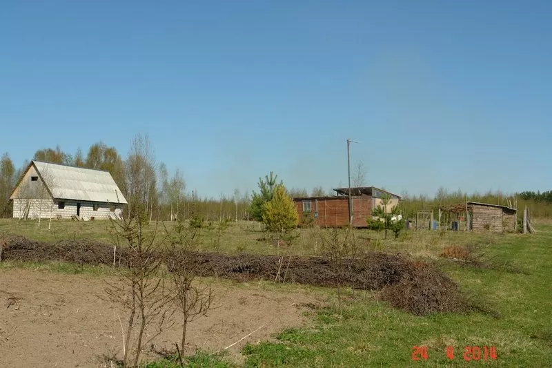 Сдам или продам 20ГА земли сельхозназначения (КФХ) в 250 км от Москвы 3