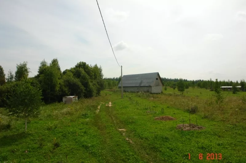 Сдам или продам 20ГА земли сельхозназначения (КФХ) в 250 км от Москвы 6
