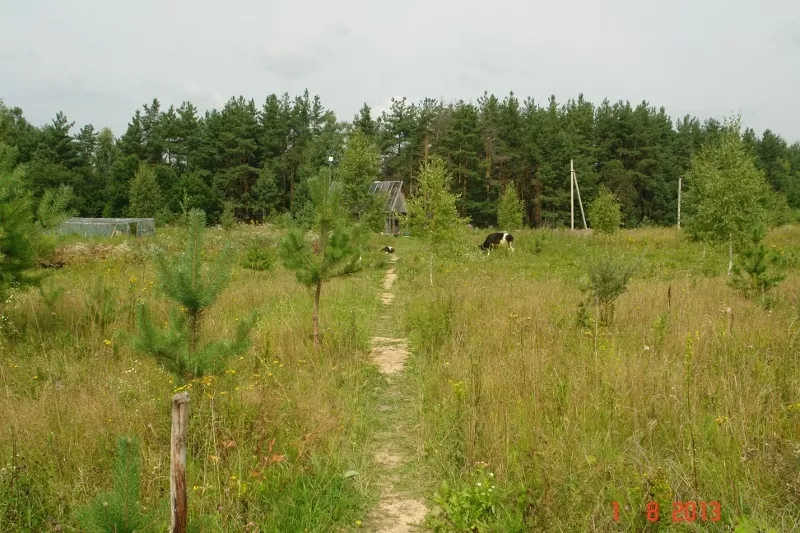Сдам или продам 20ГА земли сельхозназначения (КФХ) в 250 км от Москвы 7