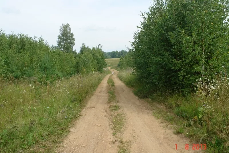 Сдам или продам 20ГА земли сельхозназначения (КФХ) в 250 км от Москвы 8