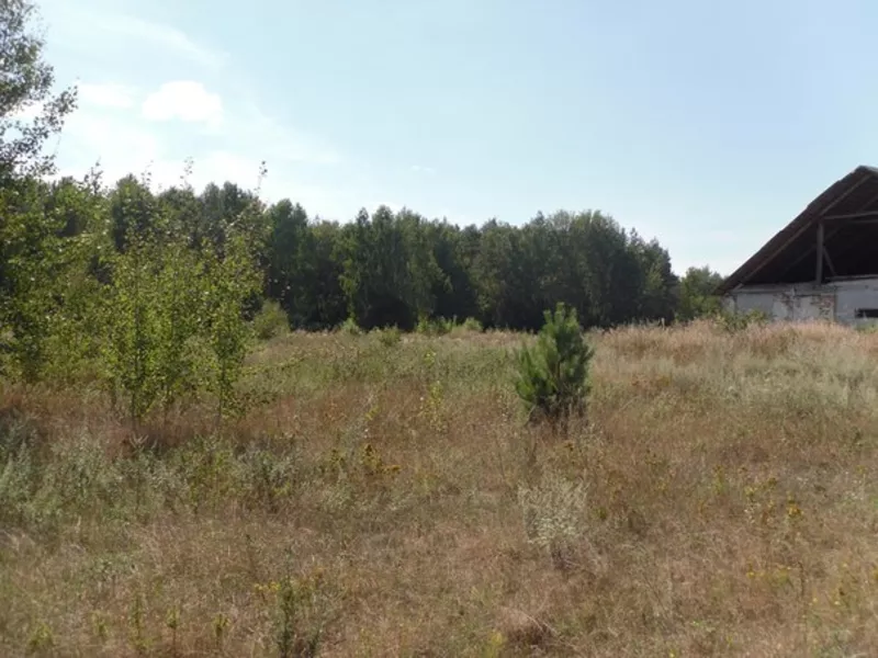 Земельный участок 4, 3 Га. 89 км от Минска,  9 км от Березино. 12