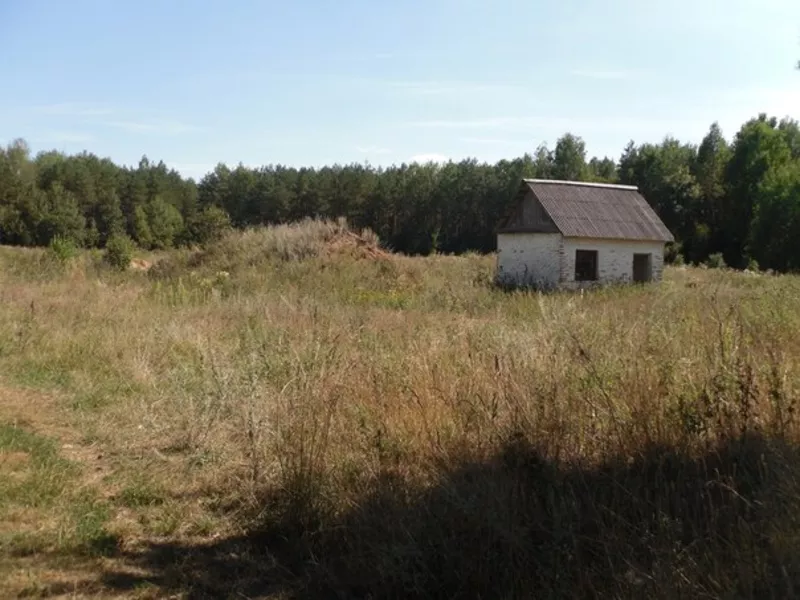 Земельный участок 4, 3 Га. 89 км от Минска,  9 км от Березино. 13