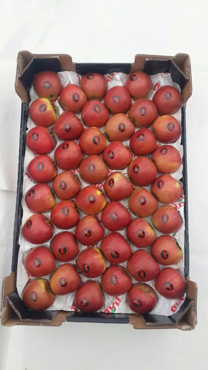 В наличие яблоки на складе в Москве,  отличного качества 7