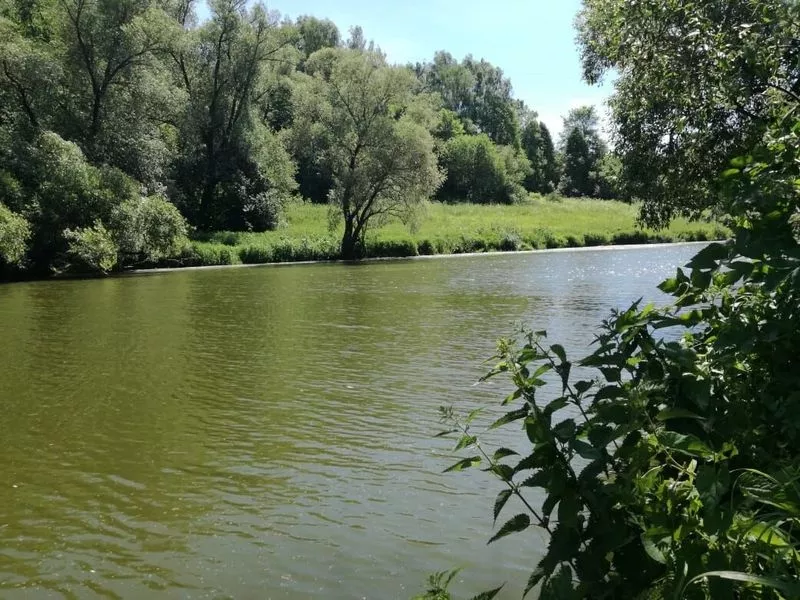 Земельный участок на берегу реки Нара в Серпухове