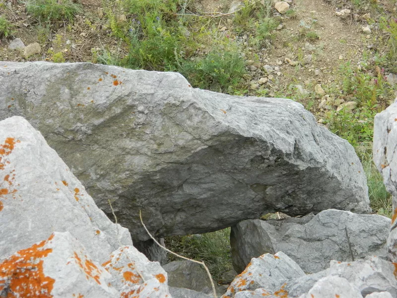 Ландшафтный камень ( глыбы) 2