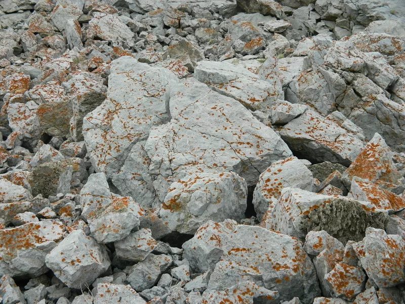 Ландшафтный камень ( глыбы) 3
