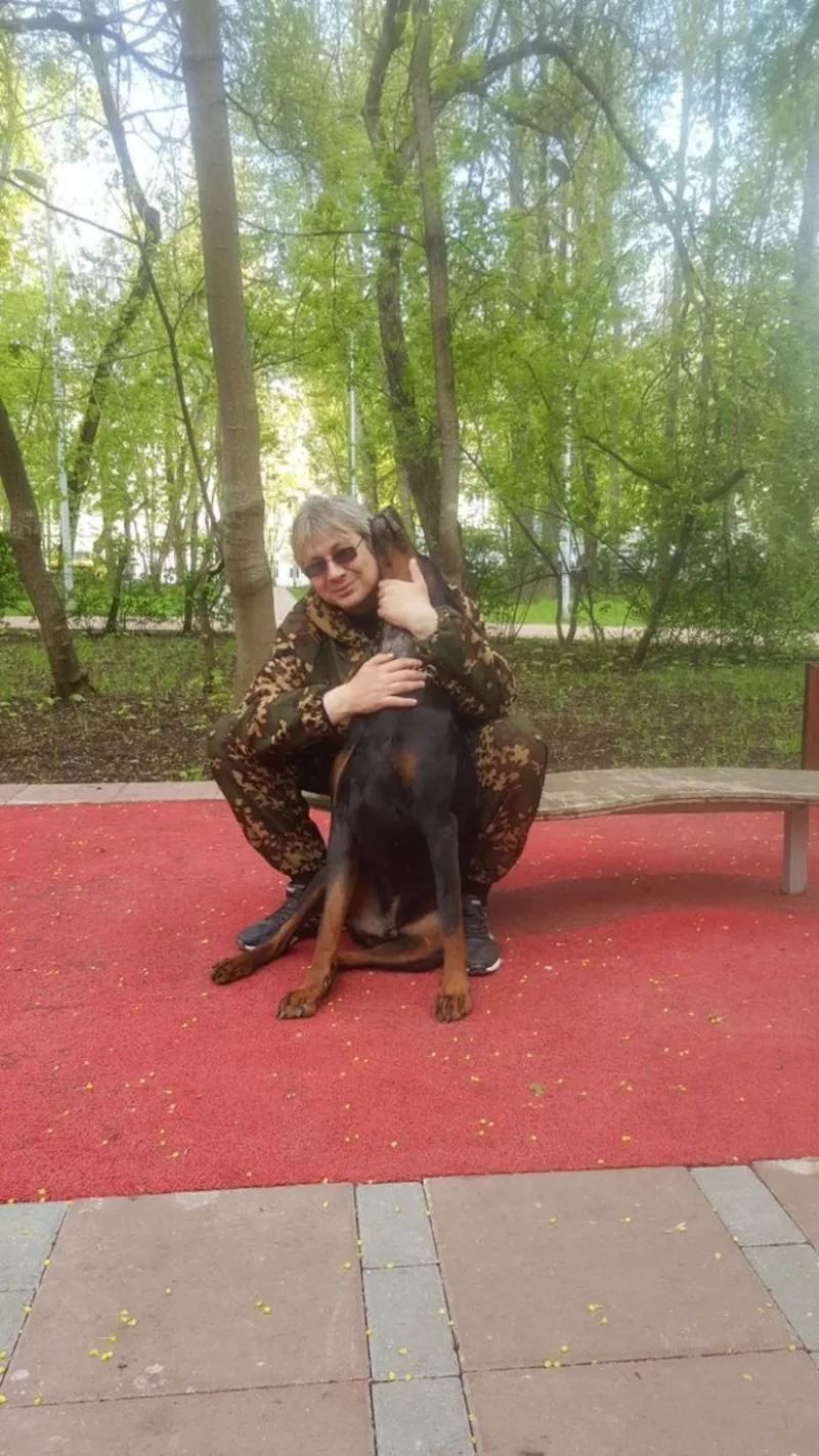 Кинолог: профессиональная дрессировка собак в Москве 6