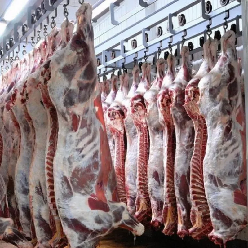 Производство и оптовые продажи мяса в ассортименте 2