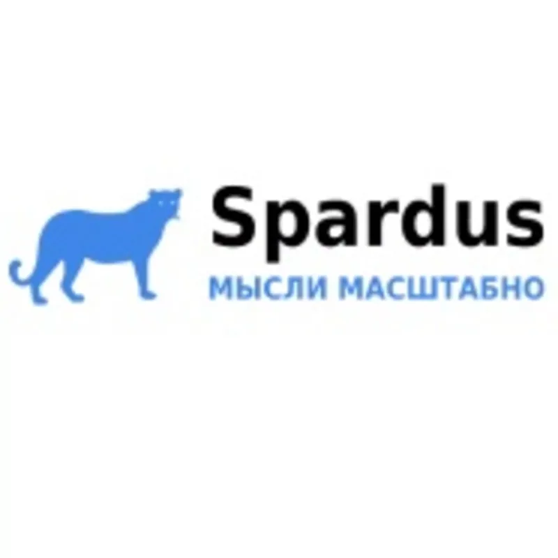 SEO-продвижение и оптимизация сайтов Spardus