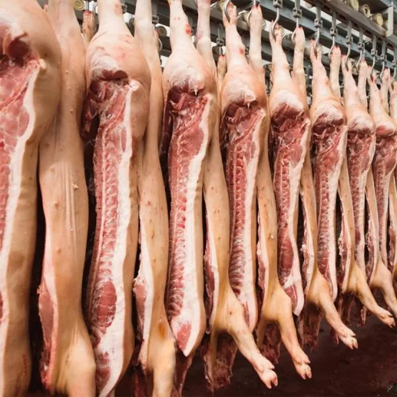Говядина,  свинина,  мясо ЦБ оптом,  отгрузка в регионы 3