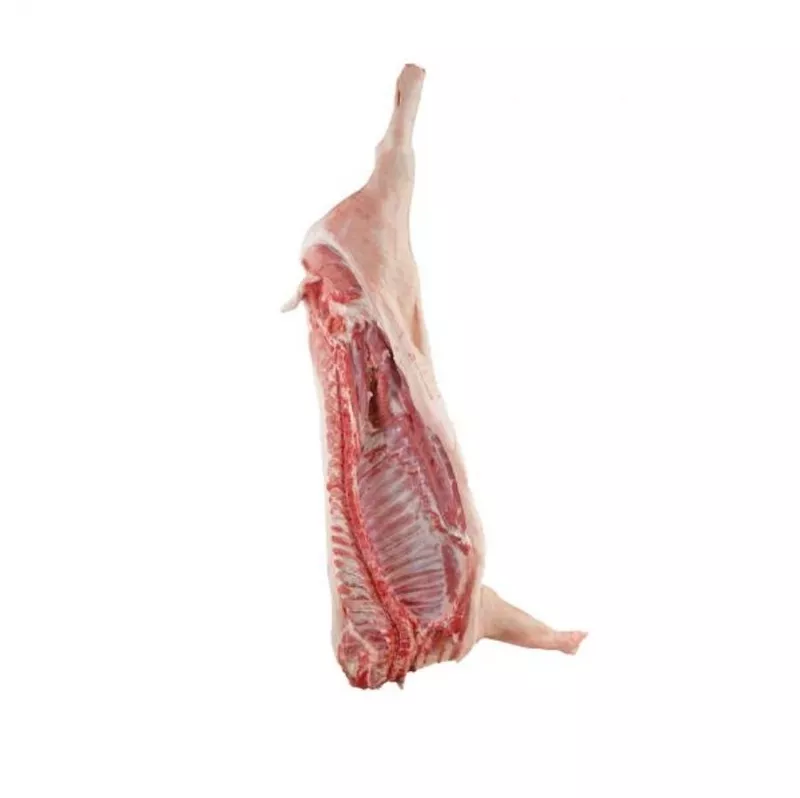 Мясо оптом,  говядина,  курица,  свинина,  субпродукты 2